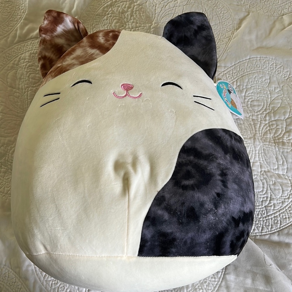 Cameron The Cat Squishmallow